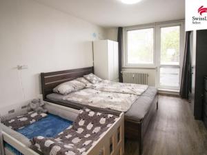 Prodej bytu 2+1, Jihlava, Kosovská, 56 m2
