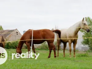 Prodej rodinného domu, Tvořihráz, 204 m2