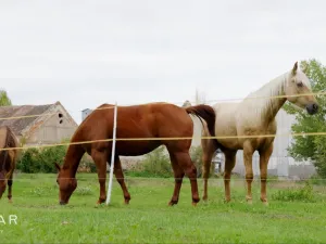 Prodej rodinného domu, Tvořihráz, 204 m2