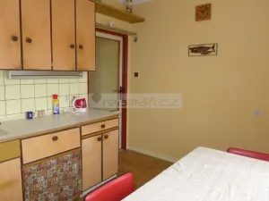 Prodej bytu 3+1, Plzeň - Východní Předměstí, Zahradní, 96 m2