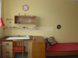 Prodej bytu 3+1, Plzeň - Východní Předměstí, Zahradní, 96 m2