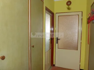 Prodej bytu 3+1, Plzeň - Východní Předměstí, Zahradní, 96 m2