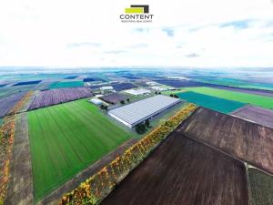 Pronájem výrobních prostor, Most, Kabátnická, 48500 m2
