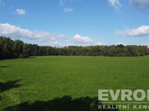 Prodej pozemku, Rokytno, 114950 m2