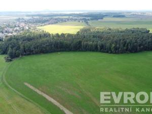 Prodej pozemku, Rokytno, 114950 m2