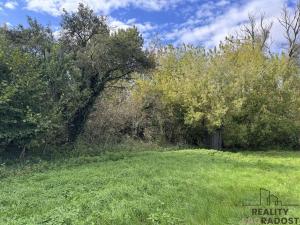 Prodej louky, Rohatec, 3793 m2