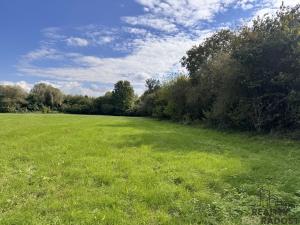 Prodej louky, Rohatec, 3793 m2