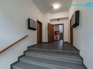 Pronájem bytu 3+kk, Luby, Revoluční, 58 m2