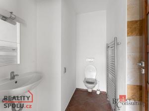 Prodej rodinného domu, Kamenice - Všedobrovice, Vnitřní, 298 m2