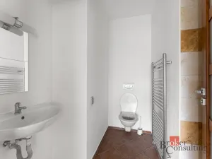 Prodej rodinného domu, Kamenice - Všedobrovice, Vnitřní, 298 m2