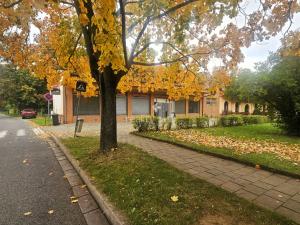Pronájem obchodního prostoru, Chvaletice, 9. května, 160 m2