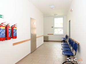 Pronájem komerční nemovitosti, Louny, Kosmonautů, 30 m2