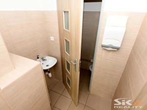 Pronájem komerční nemovitosti, Louny, Kosmonautů, 30 m2