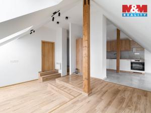 Prodej bytu 3+1, Ostrava - Vítkovice, Vrázova, 116 m2