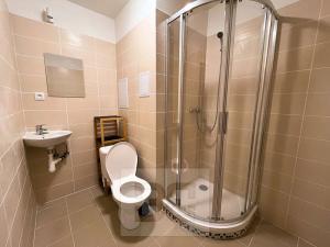 Pronájem bytu 2+kk, Karlovy Vary, Koptova, 53 m2