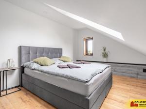 Prodej rodinného domu, Andělská Hora, 350 m2