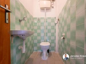 Prodej rodinného domu, Hořice, Třešňová, 238 m2