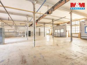 Pronájem výrobních prostor, Krásná Lípa, Bezručova, 5000 m2