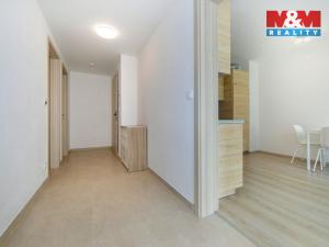 Pronájem bytu 2+kk, Plzeň - Východní Předměstí, Slovanská, 55 m2