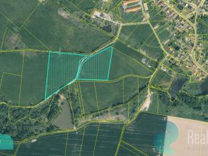 Prodej louky, Drmoul, 12559 m2