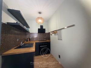 Pronájem bytu 2+kk, Plzeň, Radobyčická, 52 m2