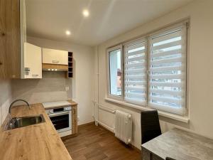 Pronájem bytu 1+1, Františkovy Lázně, Otakara Březiny, 37 m2