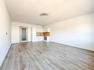 Pronájem bytu 1+kk, České Budějovice, Chelčického, 41 m2