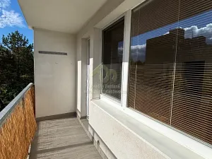 Prodej bytu 3+1, Plzeň, Brněnská, 82 m2
