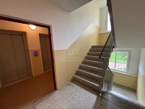 Prodej bytu 3+1, Plzeň, Brněnská, 82 m2