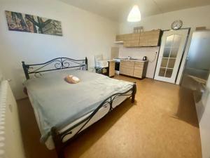 Prodej bytu 1+kk, Liberec, Šimáčkova, 32 m2