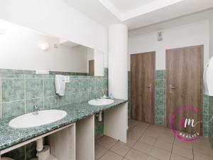 Prodej obchodního prostoru, Jihlava - Horní Kosov, Buková, 242 m2