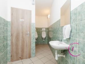 Prodej obchodního prostoru, Jihlava - Horní Kosov, Buková, 242 m2