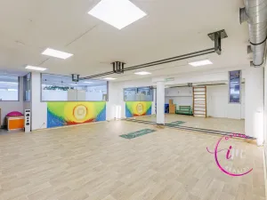 Prodej obchodního prostoru, Jihlava - Horní Kosov, Buková, 242 m2