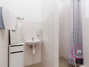 Prodej obchodního prostoru, Jihlava - Horní Kosov, Buková, 242 m2