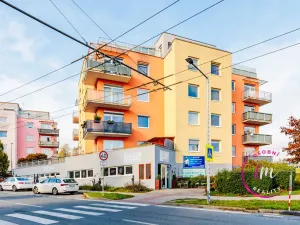 Prodej obchodního prostoru, Jihlava - Horní Kosov, Buková, 242 m2