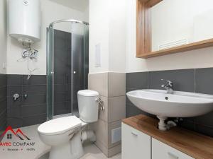 Pronájem bytu 1+kk, Ostrava, Palackého, 26 m2