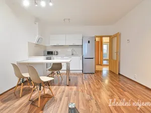 Pronájem bytu 2+kk, Brno, Říčanská, 47 m2