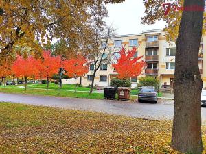 Prodej bytu 3+1, Žďár nad Sázavou, Haškova, 75 m2