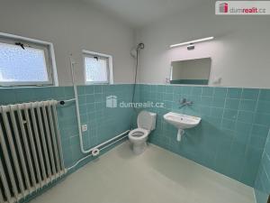 Pronájem rodinného domu, České Budějovice - České Budějovice 5, U Cihelny, 120 m2