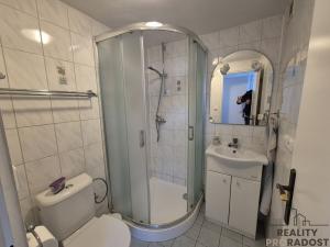 Prodej vinného sklepa, Dolní Bojanovice, Pod Bůdama, 76 m2