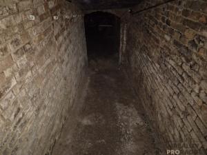 Prodej vinného sklepa, Dolní Bojanovice, Pod Bůdama, 76 m2