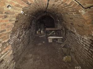 Prodej vinného sklepa, Dolní Bojanovice, Pod Bůdama, 76 m2