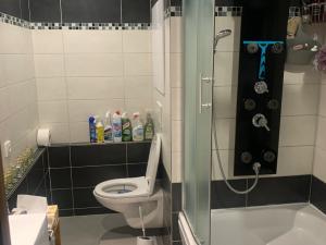 Pronájem bytu 2+kk, Hradec Králové - Nový Hradec Králové, Brožíkova, 42 m2