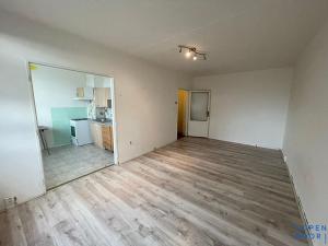 Pronájem bytu 1+1, Most, Javorová, 34 m2