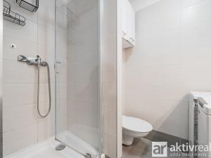 Prodej bytu 1+kk, Mělník, Pod Vrchem, 30 m2