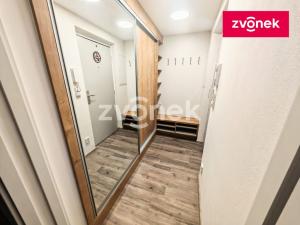 Pronájem bytu 1+kk, Zlín, K Majáku, 42 m2
