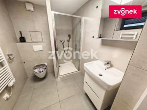 Pronájem bytu 1+kk, Zlín, K Majáku, 42 m2