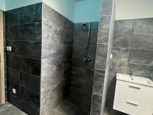 Pronájem bytu 3+kk, Opava, Rolnická, 78 m2