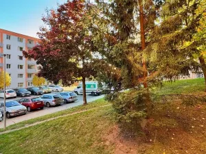 Prodej bytu 2+kk, Cheb, Dvořákova, 37 m2