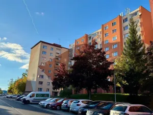 Prodej bytu 2+kk, Cheb, Dvořákova, 37 m2